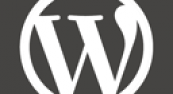 What comes under the best  WordPress [wp] web care plan?