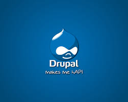 drupal development india