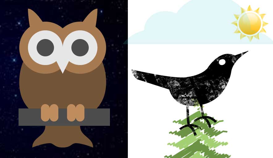 Being an Early Bird or a Night Owl May Affect a Freelance Web Developer’s Productivity