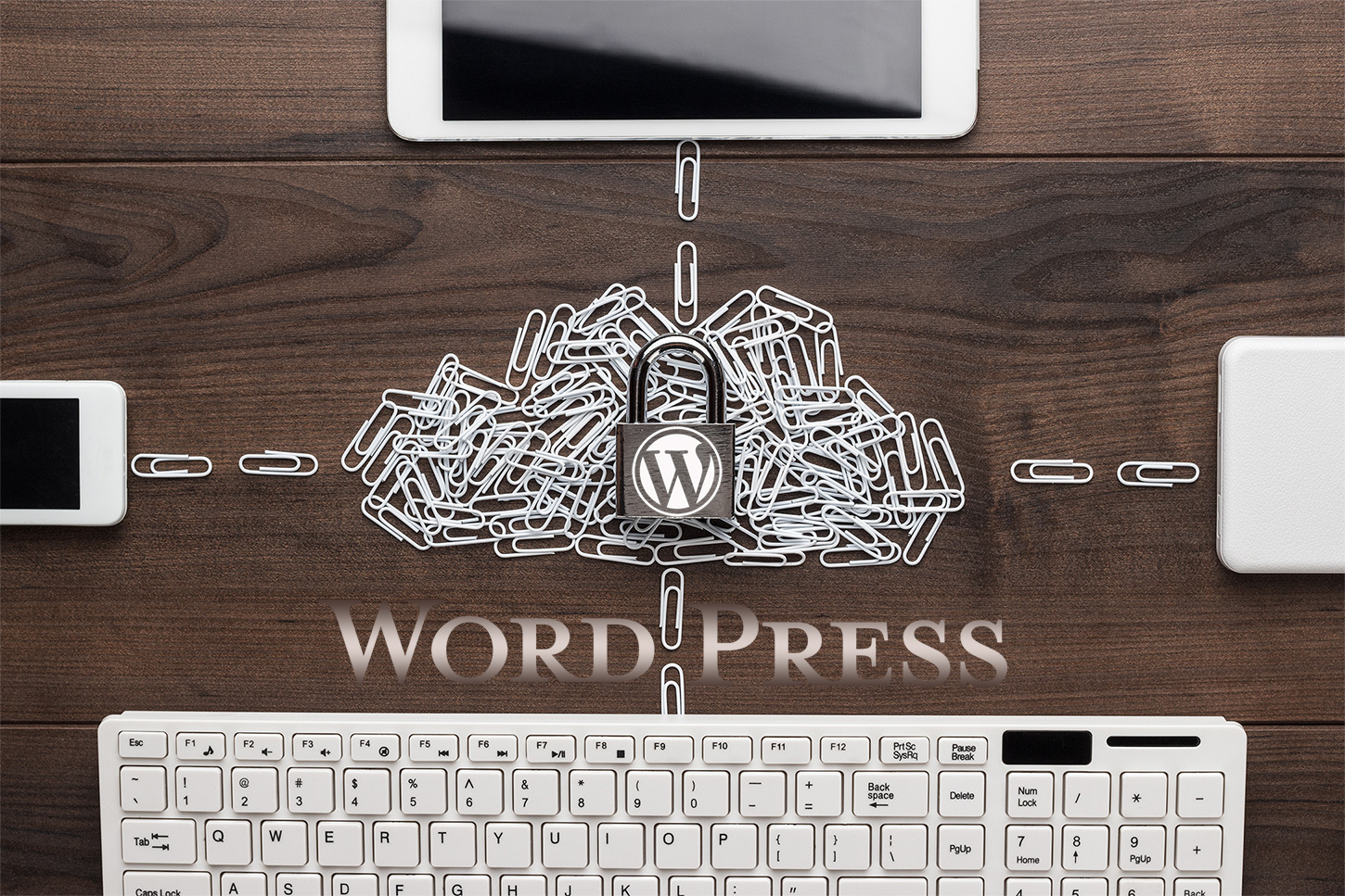 WordPress Security