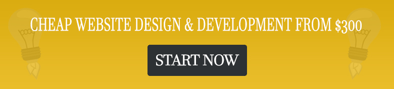 cheap website design development from $300