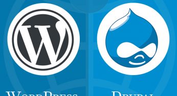 WORDPRESS and DRUPAL CMS – What is the difference??