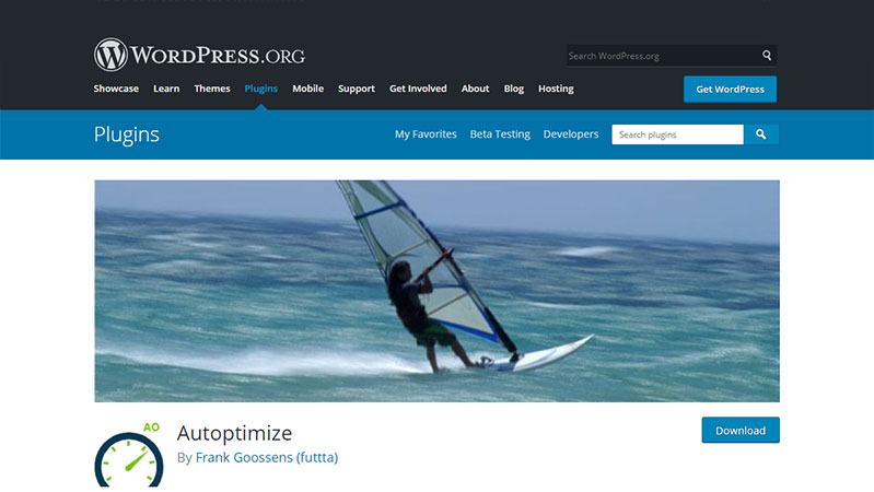 Autoptimize : Best Free WordPress Plugin for minify Styles and Scripts