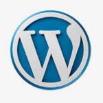 Custom WordPress Development Services