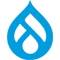 Provide Drupal Services at affordable cost.