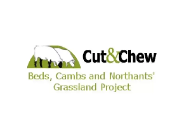 Cut and chew joomla website